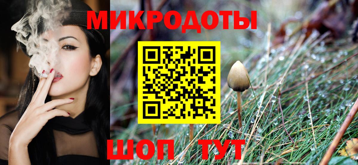 Галлюциногенные грибы Psilocybine cubensis Мытищи