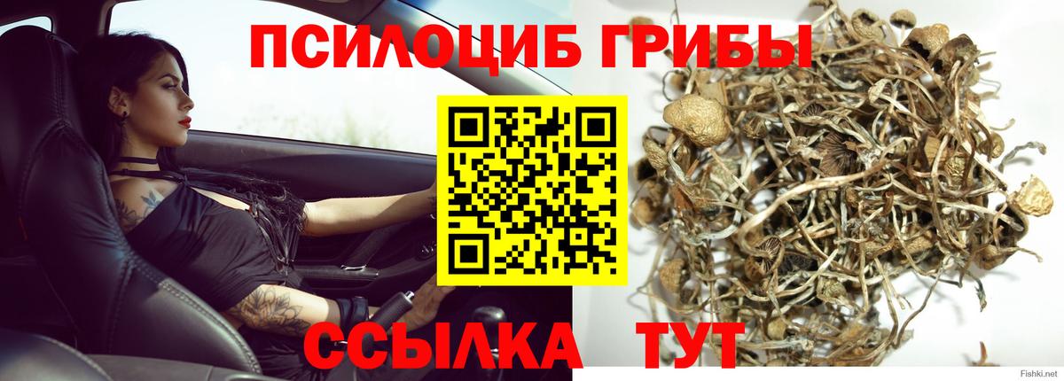 Псилоцибиновые грибы мухоморы  Вход с VPN  Мытищи  Галлюциногенные грибы мухоморы 